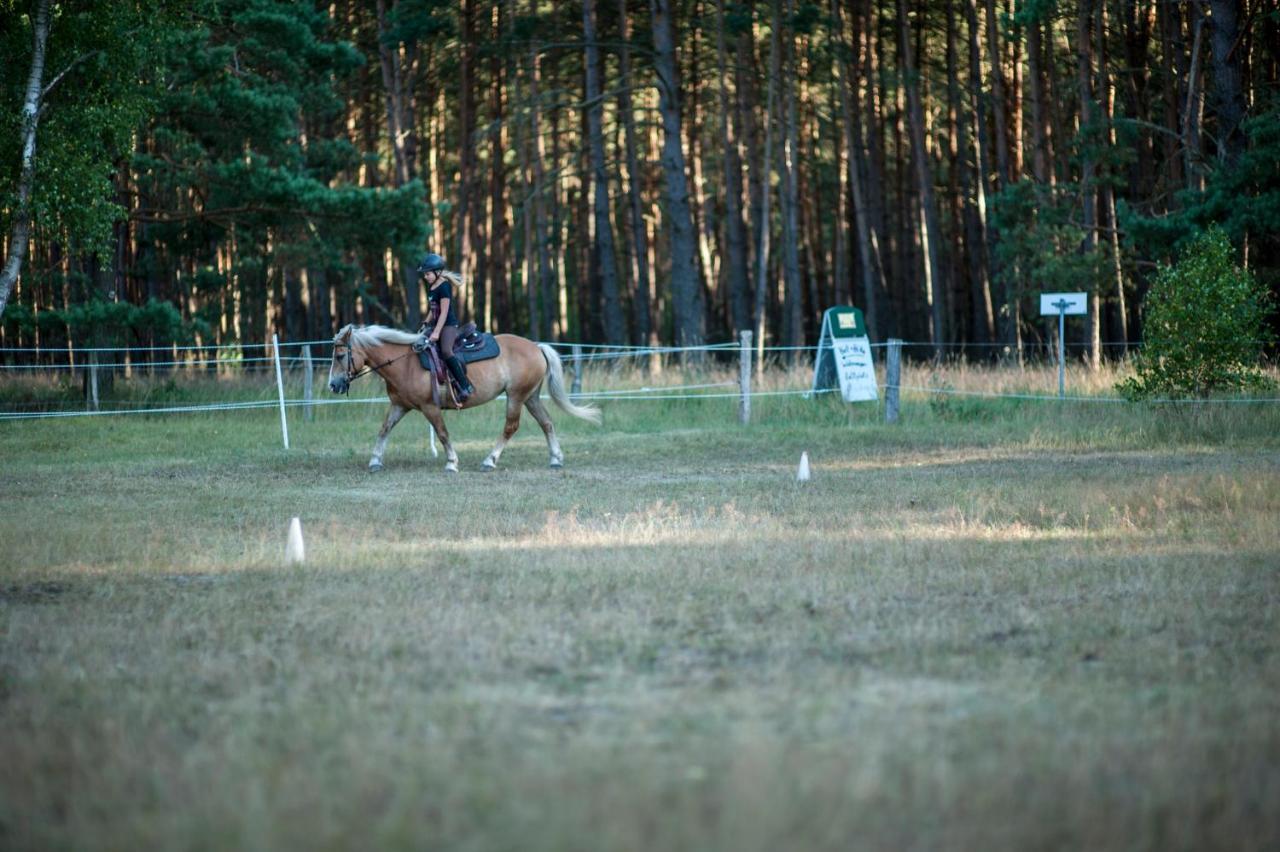 traumHaff denkmalgeschützter Amalienhof Sauna, offener Kamin, Hund Ahlbeck  Exterior foto